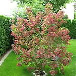 Kriemhild Am Hirschgarten Отель Мюнхен