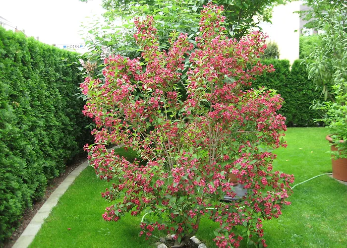 クリームヒルト アム ヒルシュガルテン ホテル ミュンヘン